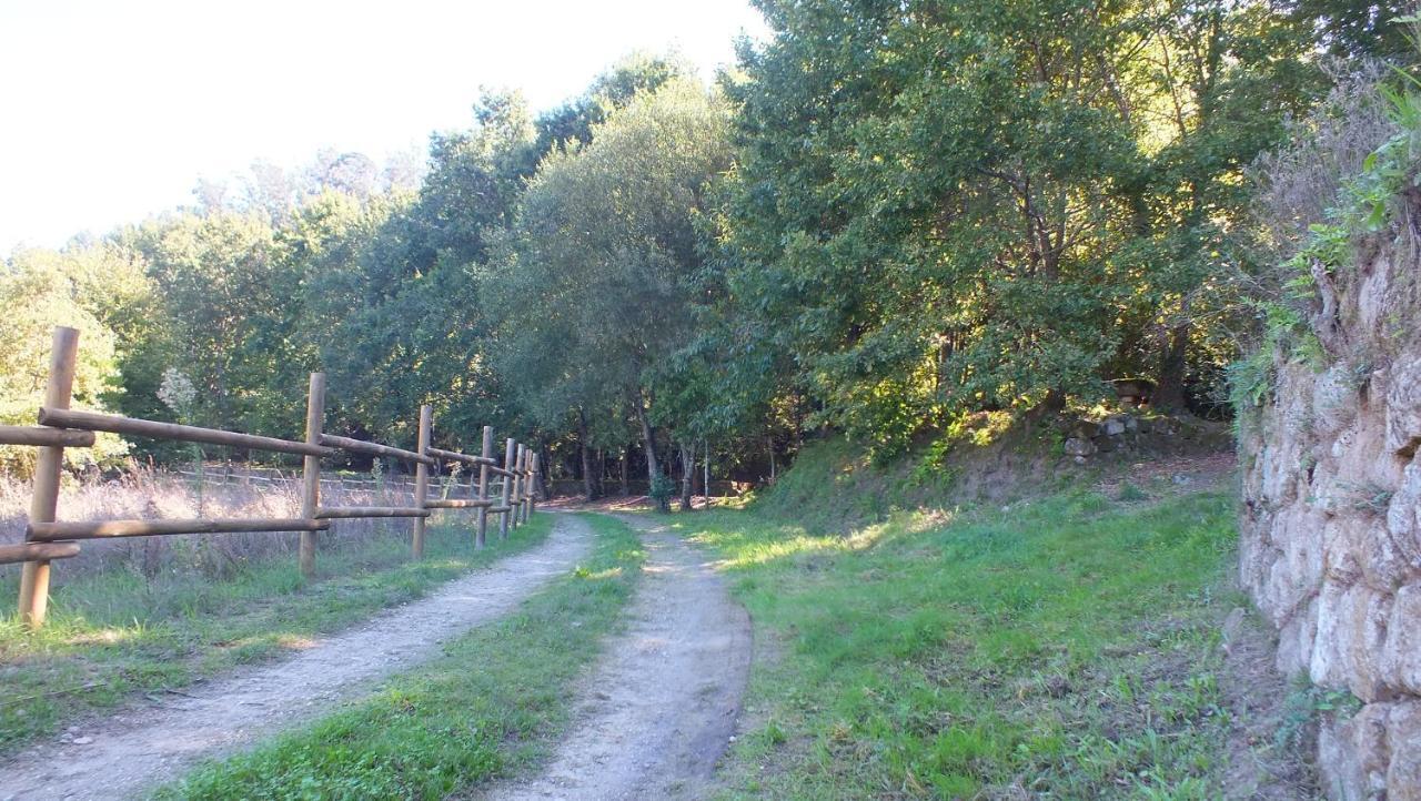 Quinta Do Caritel Villa Vouzela Buitenkant foto